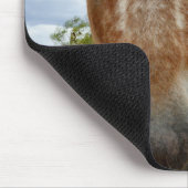 Sugar's Stride: De genade van de Appaloosa Muismat (Hoek)