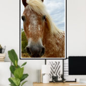 Sugar's Stride: De genade van de Appaloosa Poster (Thuiskantoor)