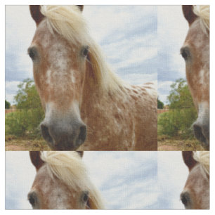 Sugar's Stride: De genade van de Appaloosa Stof
