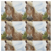 Sugar's Stride: De genade van de Appaloosa Stof (Swatch)