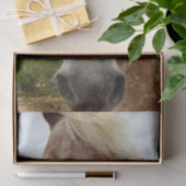 Sugar's Stride: De genade van de Appaloosa Tissuepapier (Geschenk)