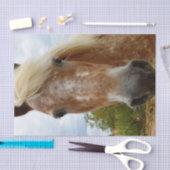 Sugar's Stride: De genade van de Appaloosa Tissuepapier (Craft)