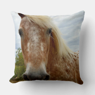Suiker De Appaloosa Paard, Grote Worp Kussen. Kussen