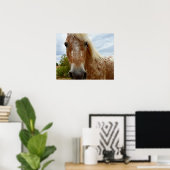 Suiker de Appaloosa-paarden, Poster (Thuiskantoor)