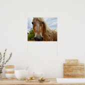 Suiker de Appaloosa-paarden, Poster (Keuken)