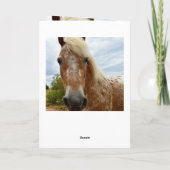 Suiker de Appaloosa-paardendag Kaart (Achterkant)