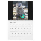 Suiker de otter kalender (Mar 2026)