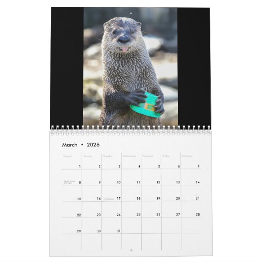 Suiker de otter kalender (Mar 2026)