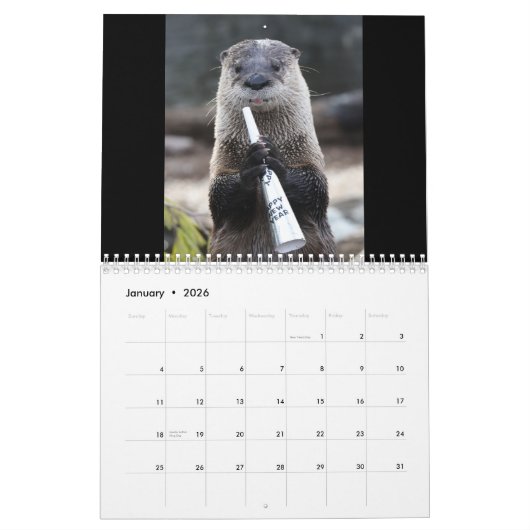 Suiker de otter kalender (Jan 2026)
