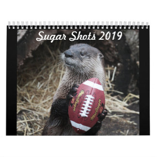 Suiker de otter kalender