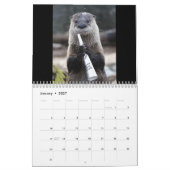 Suiker de otter kalender (Jan 2027)