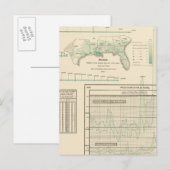 Suiker en melasse briefkaart (Voorkant / Achterkant)