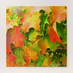 Suiker Esdoorn Bladeren Herfst Pracht Legpuzzel