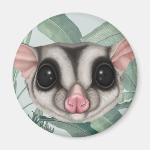 Suiker Glider Magnet