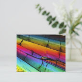 Suiker onder een microscoop briefkaart (Staand voorkant)