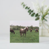 Suiker, Sky, Lady & Harley-Briefkaart Briefkaart (Staand voorkant)
