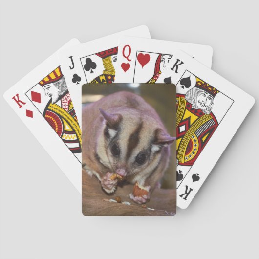 Suiker suikerriet pokerkaarten (Achterkant)