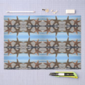 Suiker Zeester op het strand Weefselpapier Tissuepapier (Craft)