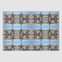 Suiker Zeester op het strand Weefselpapier