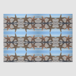 Suiker Zeester op het strand Weefselpapier Tissuepapier