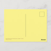 Suikerapelbladeren Veranderende kleur in herfst Briefkaart (Achterkant)