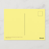 Suikeraple lekt veranderende kleur in het najaar v briefkaart (Achterkant)