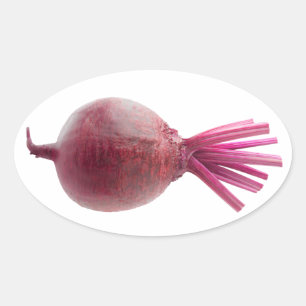 Suikerbiet Ovale Sticker