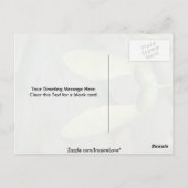 Suikerboomvruchten (acer saccharum) briefkaart (Achterkant)