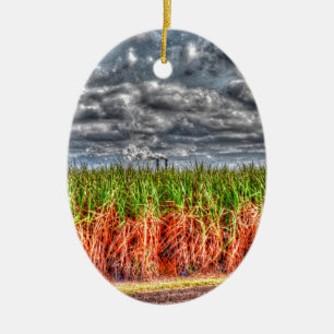 SUIKERCANE EN MELKSTACKS QUEENSLAND AUSTRALIË KERAMISCH ORNAMENT