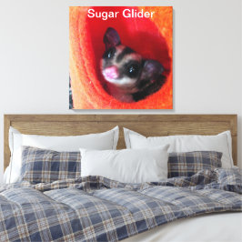 Suikereekhoorn in oranje hangend bed canvas afdruk