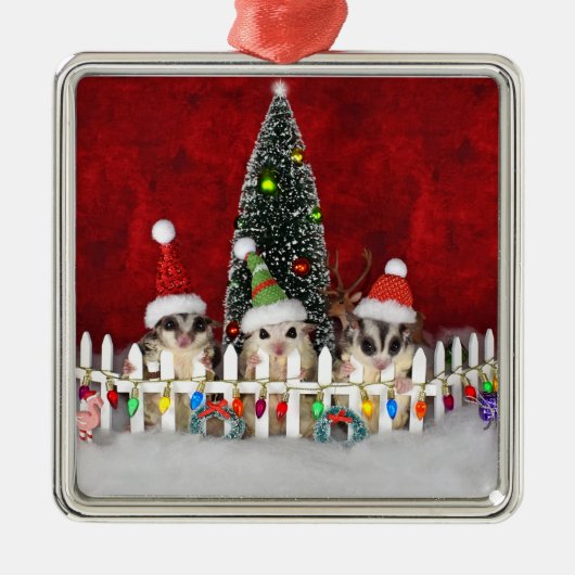 Suikereekhoorn Kerstmis Metalen Ornament (Voorkant)