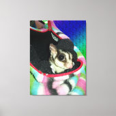 Suikereekhoorn met hoed canvas afdruk (Voorkant)