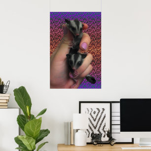 Suikereekhoornposter Poster