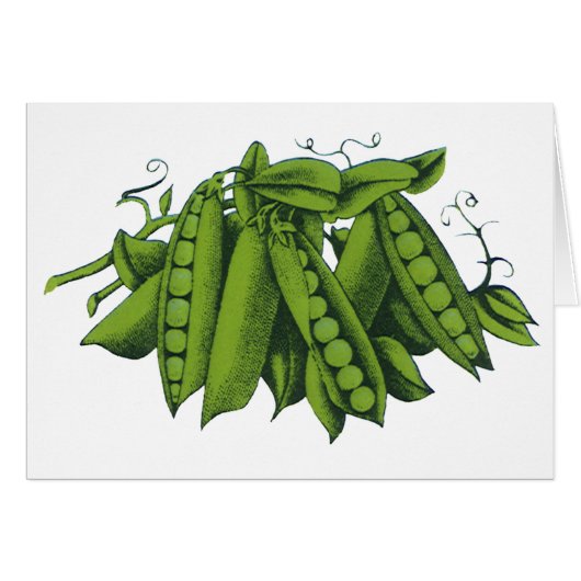  suikererwten, levensmiddelen, gezonde groenten (Voorkant Horizontaal)