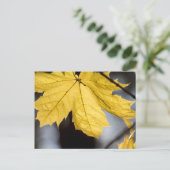 Suikeresdoorn, herfst briefkaart (Staand voorkant)