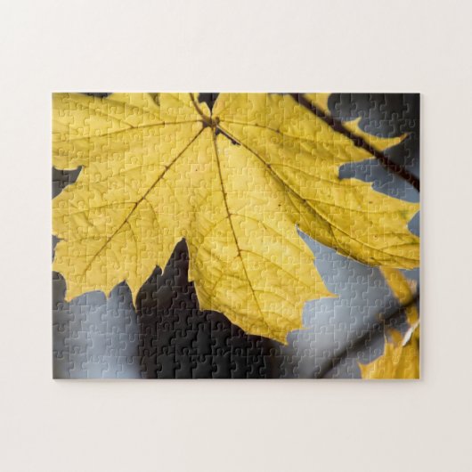 Suikeresdoorn, herfst legpuzzel (Horizontaal)