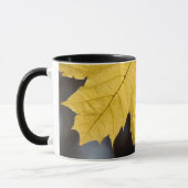 Suikeresdoorn, herfst mok (Links)