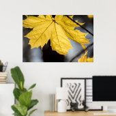 Suikeresdoorn, herfst poster (Thuiskantoor)