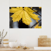Suikeresdoorn, herfst poster (Keuken)
