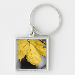 Suikeresdoorn, herfst sleutelhanger