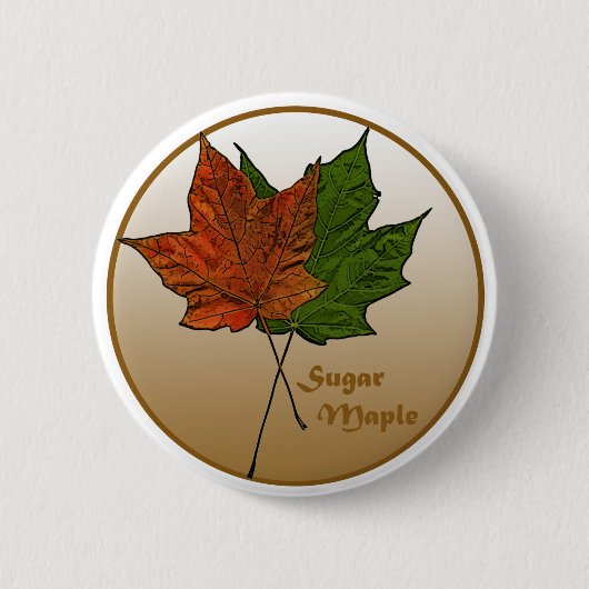 suikeresdoornboom ronde button 5,7 cm (Voorkant)