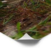 Suikerfeest oogstende Fubby's op het land. Perfect Poster (Hoek)