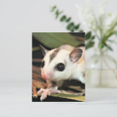 Suikerglider Briefkaart (Staand voorkant)