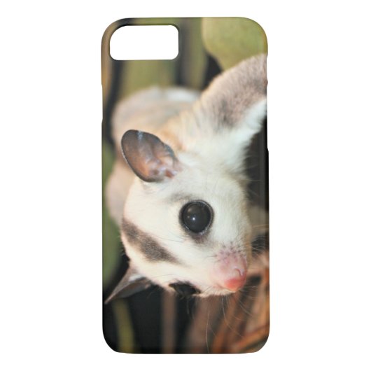 Suikerglider Case-Mate iPhone Case (Achterkant)