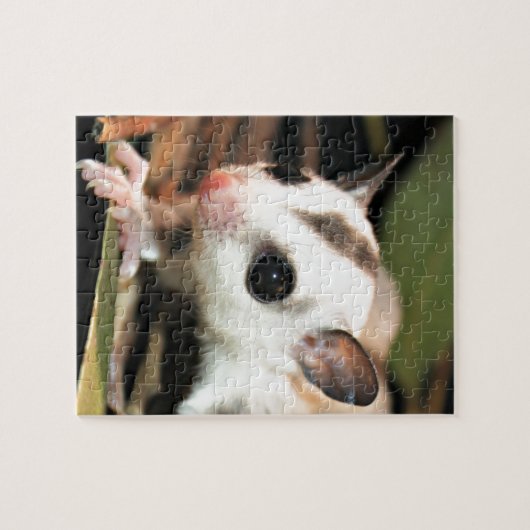 Suikerglider Legpuzzel (Horizontaal)