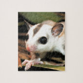 Suikerglider Legpuzzel (Verticaal)