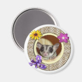 Suikerglider Magneet (Voorkant / Achterkant)