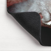 Suikerglider - Petaurus breviceps Muismat (Hoek)