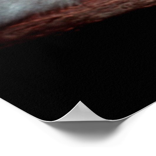 Suikerglider - Petaurus breviceps Poster (Hoek)