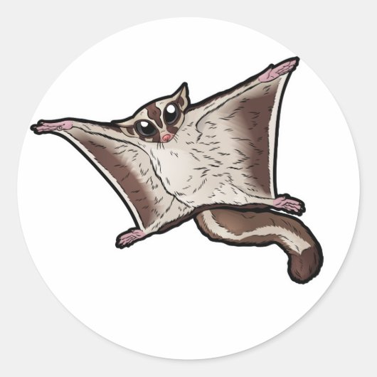 Suikerglider Ronde Sticker (Voorkant)